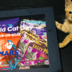 Shopee Deals: Celebrate World Cat Day with these treats for cats (and dogs, too)