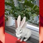 Celebrate Year of the Rabbit with Google