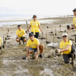 Cebu Pacific & Ramon Aboitiz Foundation rehabilitate Cebu mangrove area